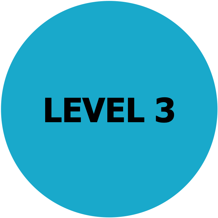 PSLE Question of Level 3 Difficulty According to Topics